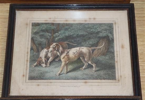 After Samuel Howitt (1765-1822), four coloured engravings, Studies of spaniels, stag hounds, deer and